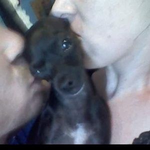 Meet your Posher, Roxanne